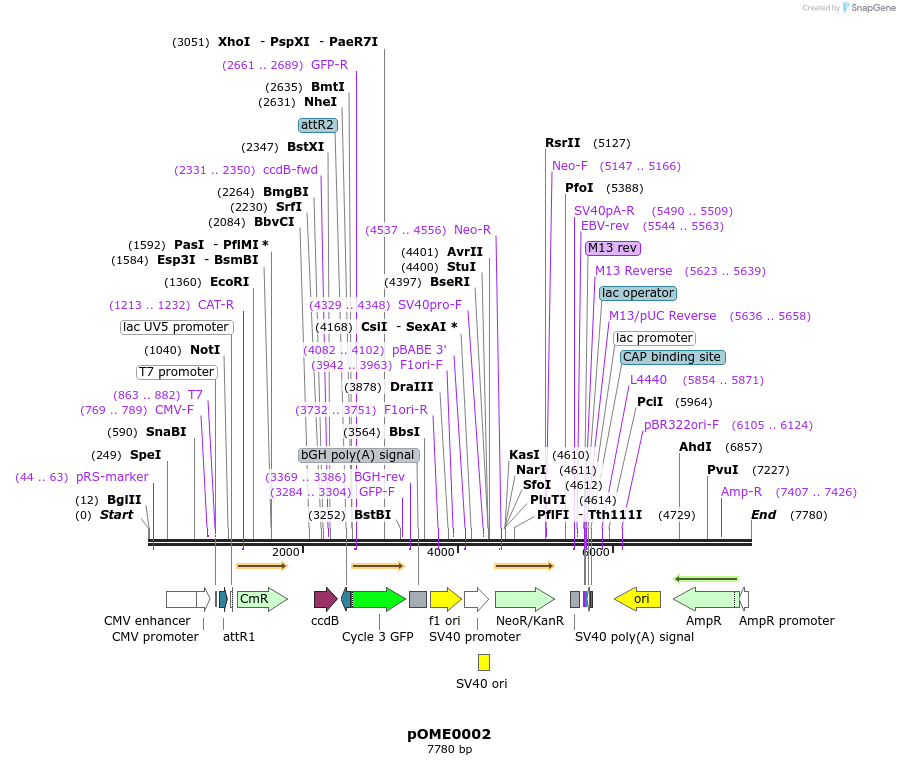 346400_map