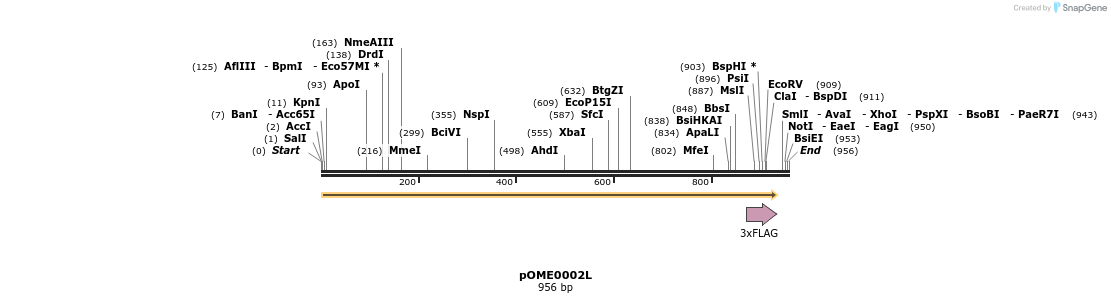 346401_map