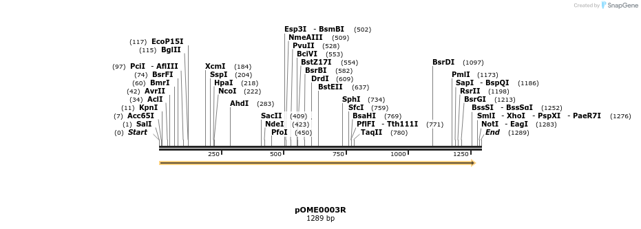 346403_map