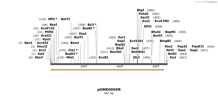 346409_map