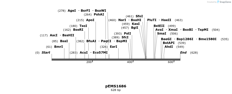 34641_map