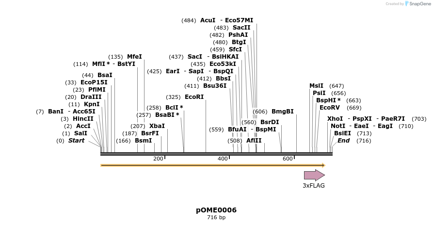 346411_map