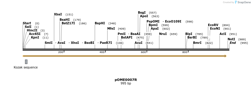 346415_map