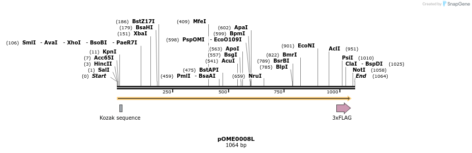 346419_map