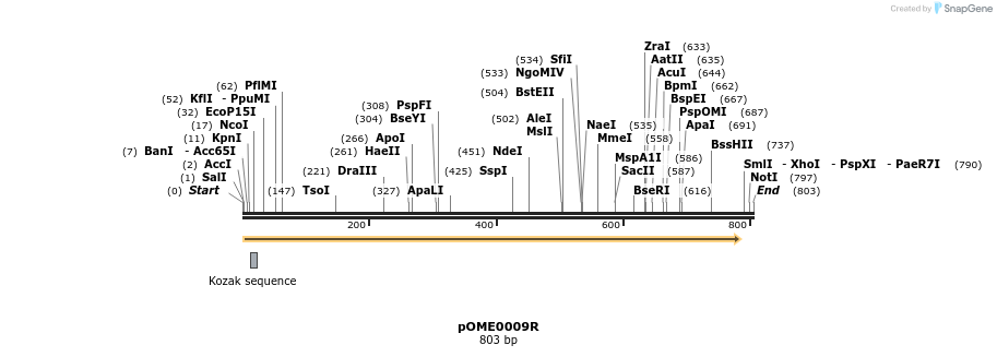 346421_map