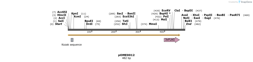 346425_map