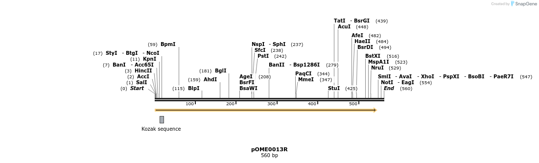 346427_map