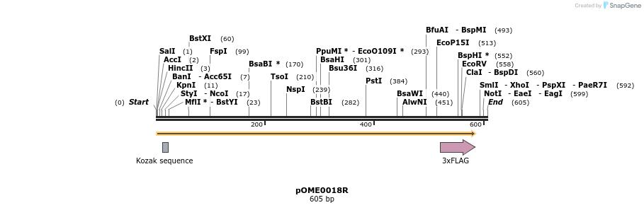346439_map