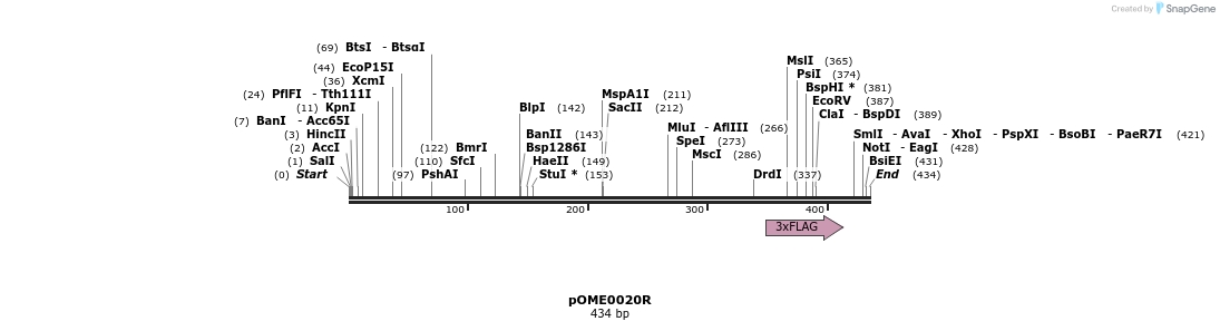 346443_map
