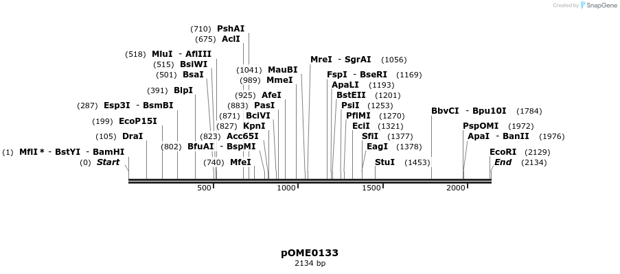 346449_map