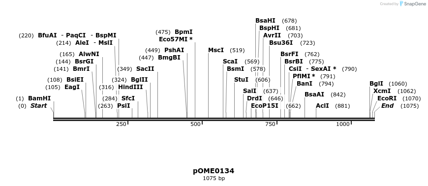 346452_map