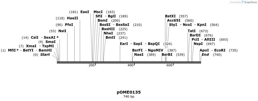 346454_map