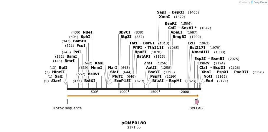 346464_map