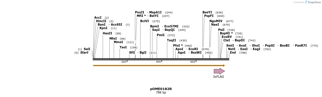 346468_map