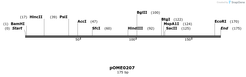 346474_map