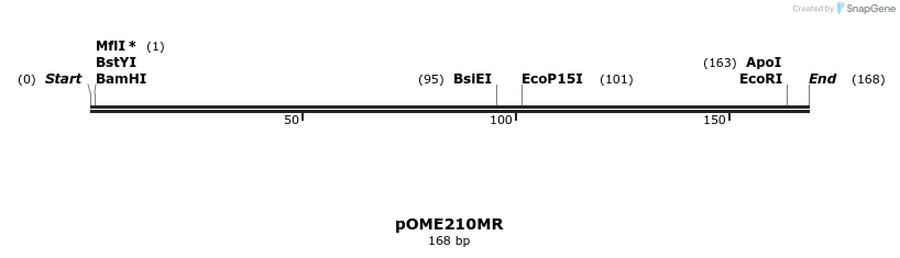 346480_map