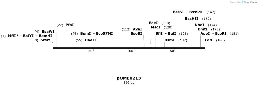 346486_map