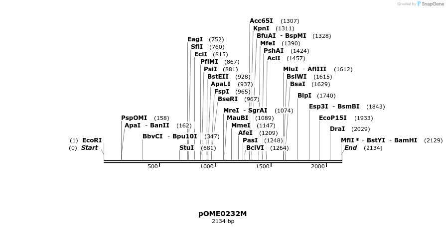 346488_map