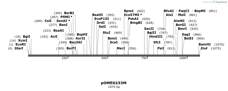346490_map