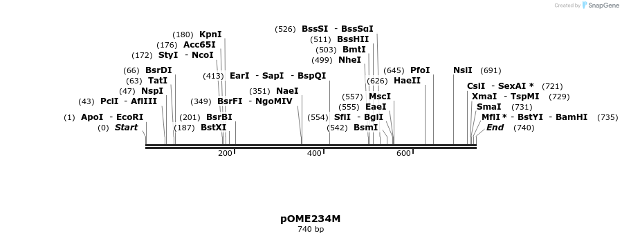 346492_map