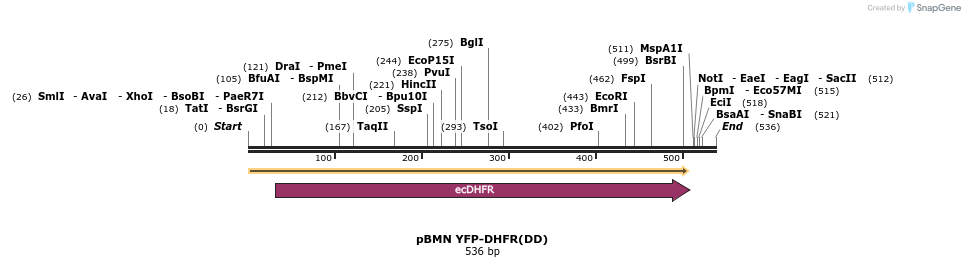 34676_map