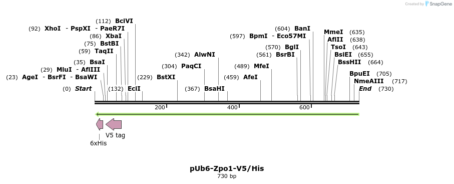 34677_map