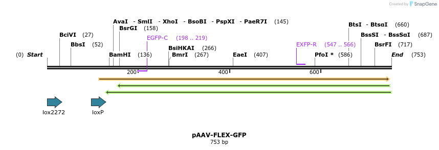 34679_map