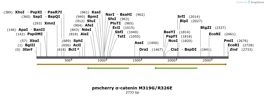 346851_map