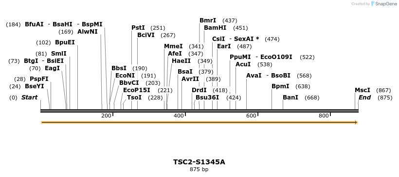 34689_map