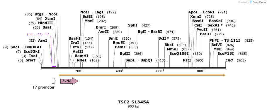 34690_map
