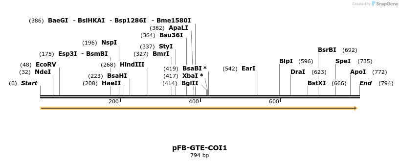 34696_map