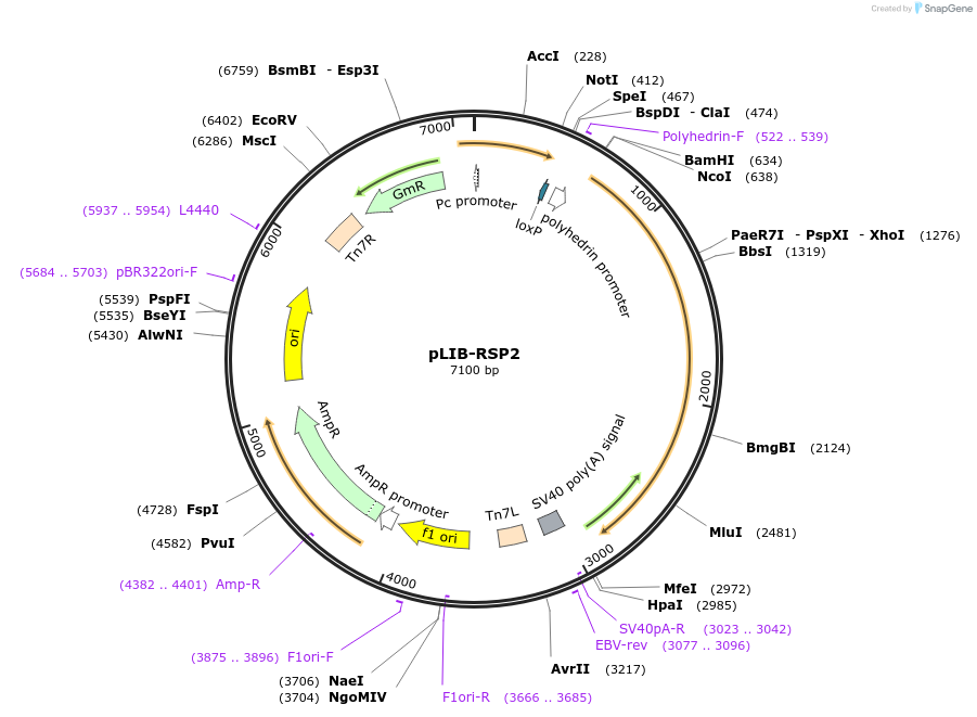 346974_map