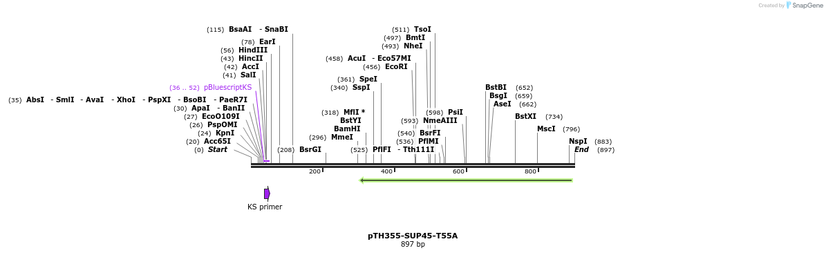 34707_map