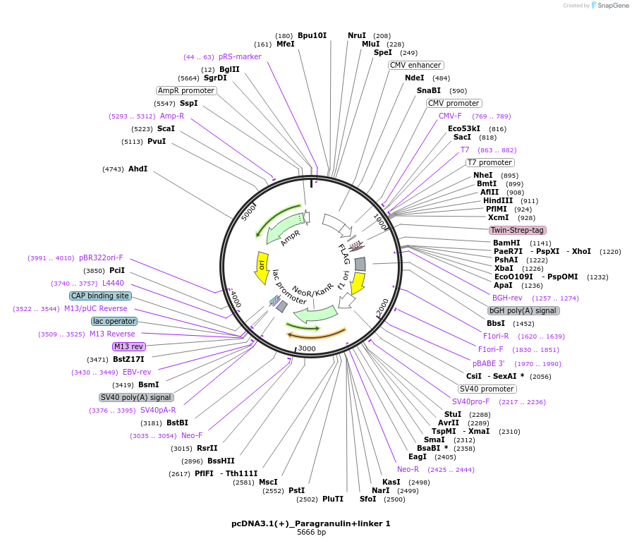 347149_map