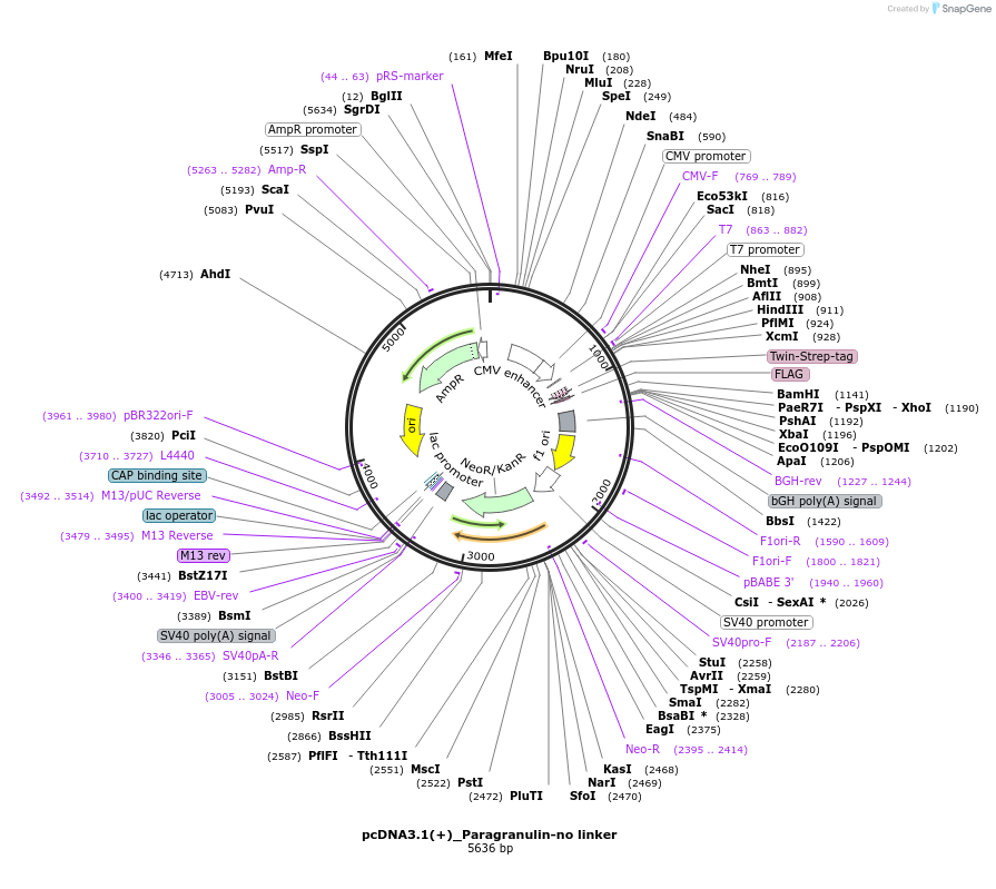 347150_map