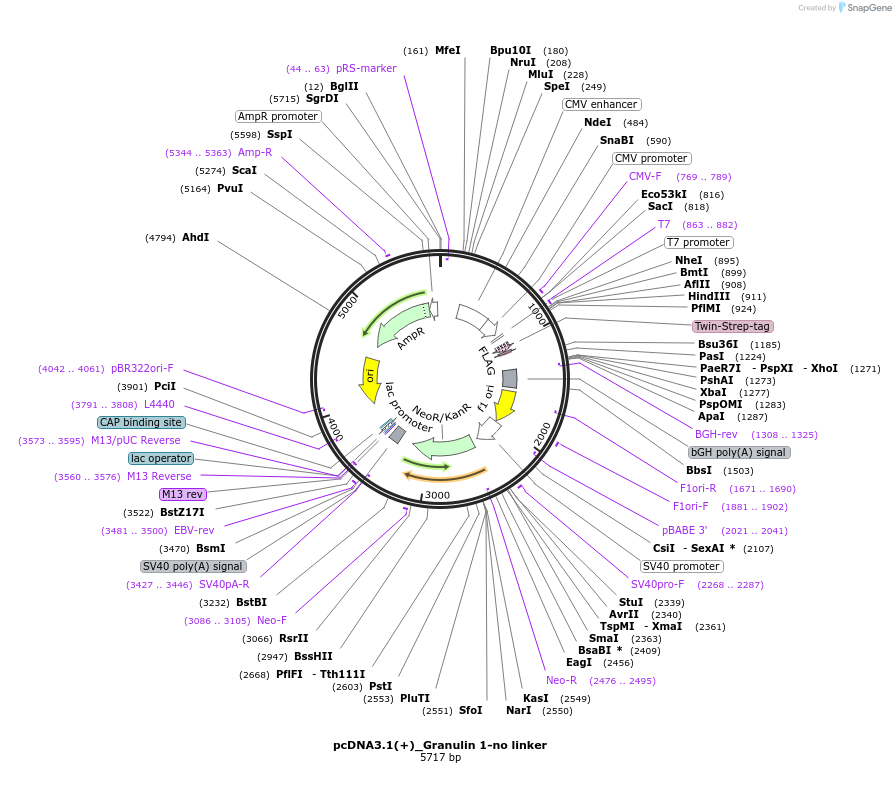 347159_map