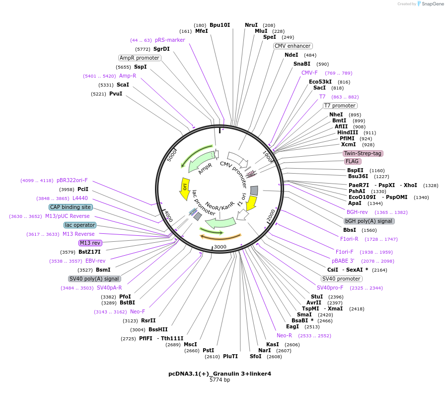 347167_map