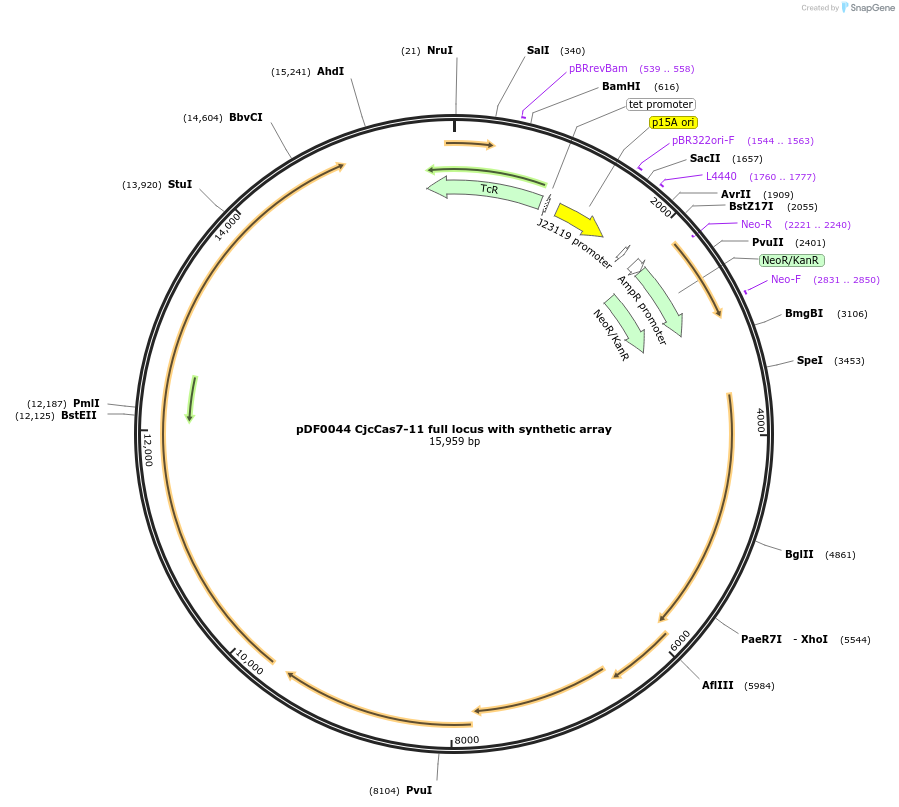 347191_map