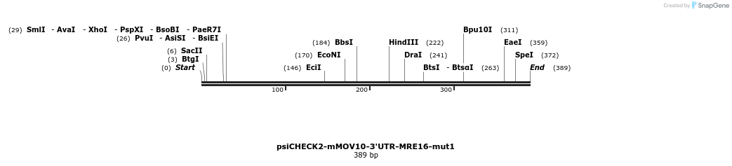347251_map