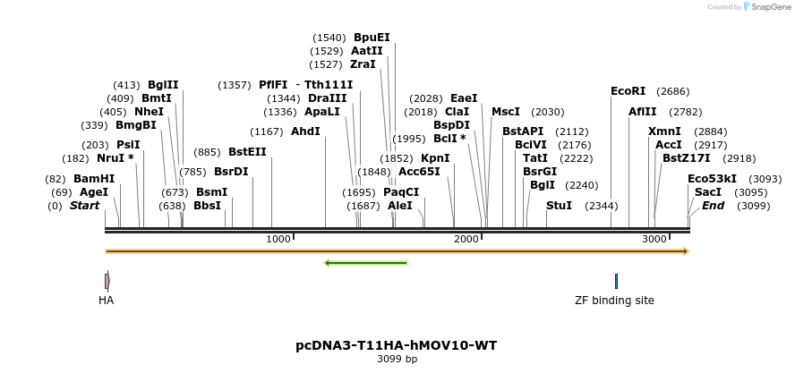 347253_map