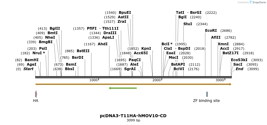 347255_map