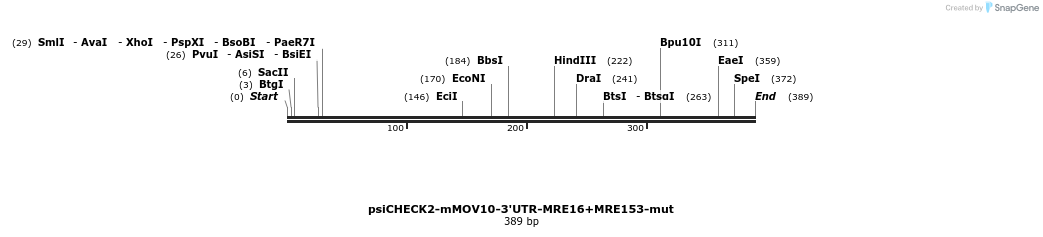 347259_map