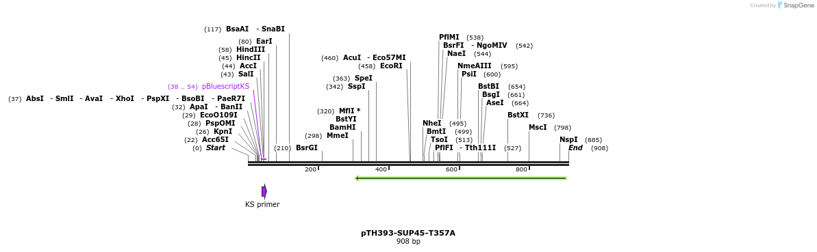 34730_map