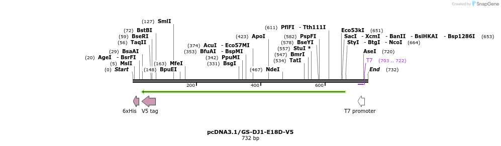 34740_map