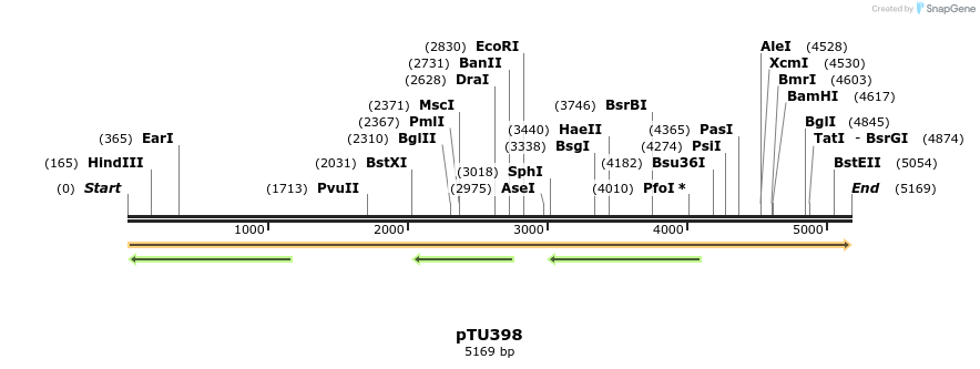 347452_map
