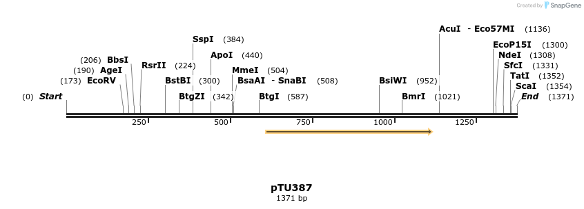 347455_map