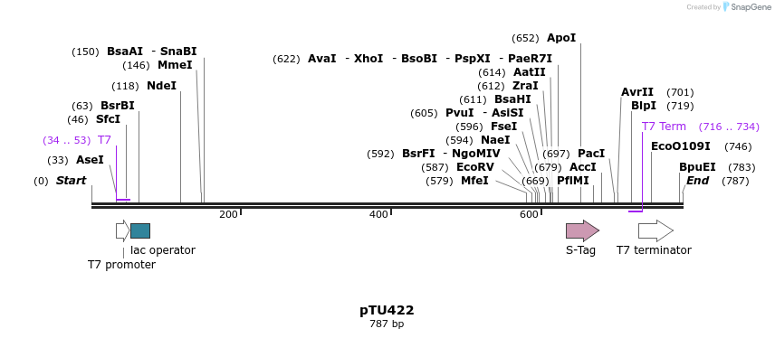347459_map