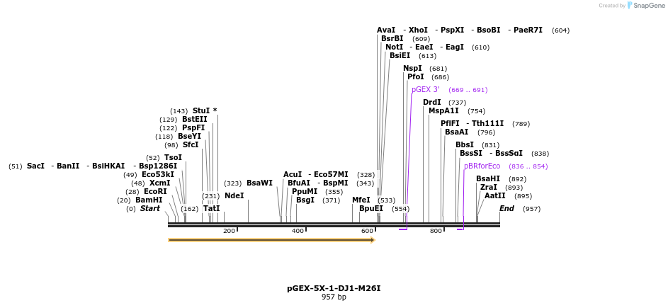 34750_map