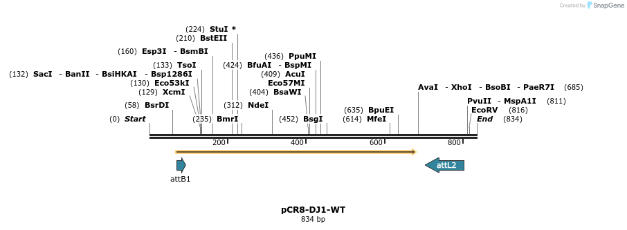 34751_map
