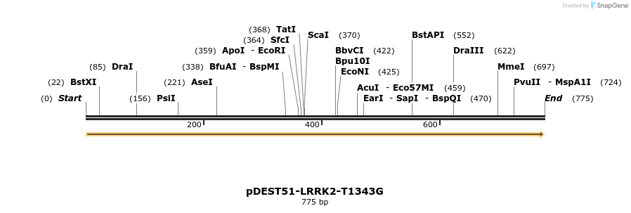 34762_map